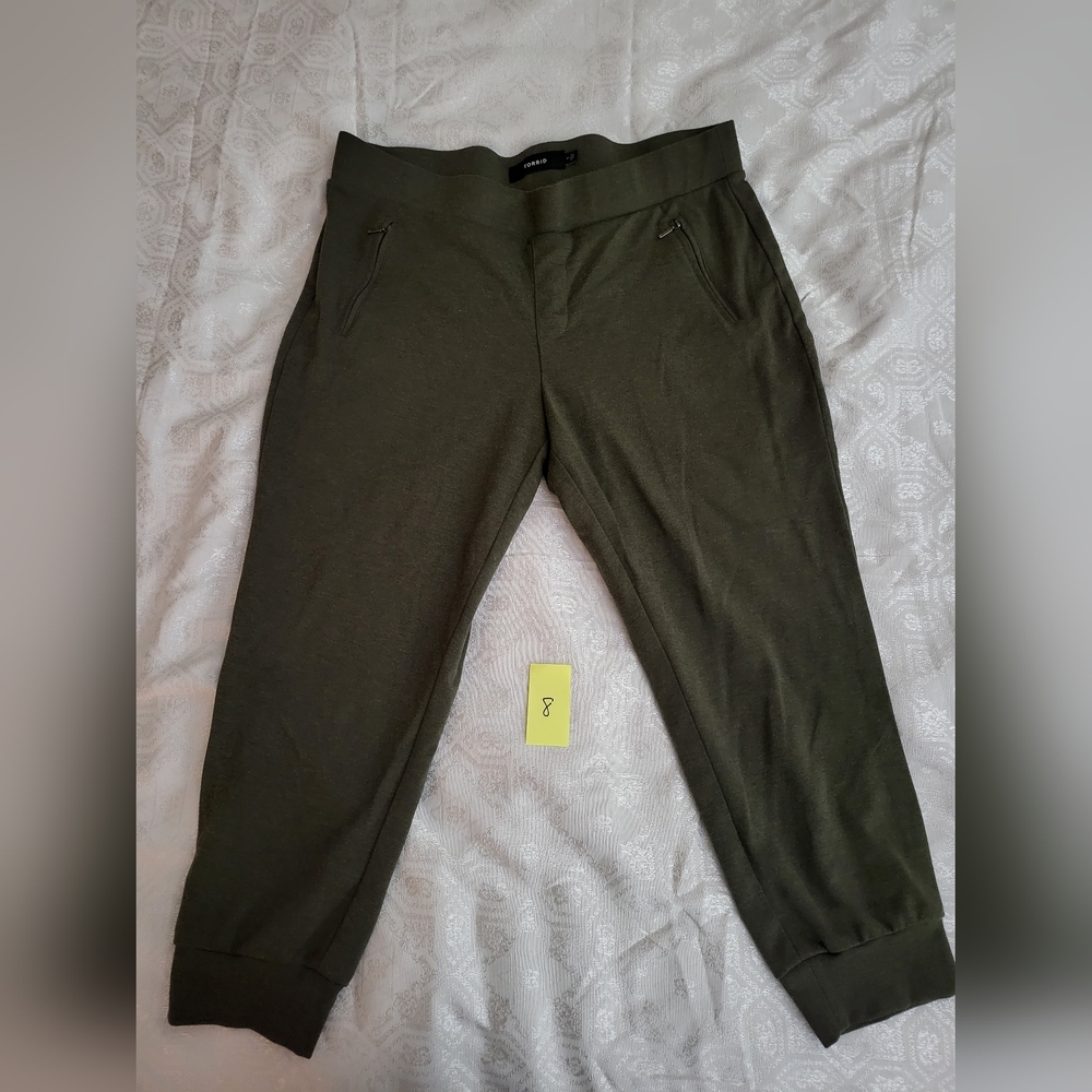 Torrid Pants